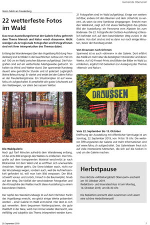 DZMagazin / 22 wetterfeste Fotos im Wald