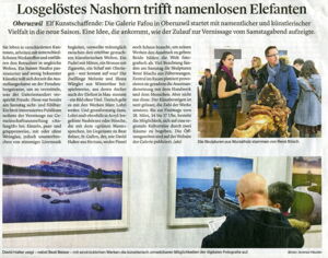 Wiler Zeitung / Losgelöstes Nashorn trifft namenlosen Elefanten